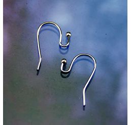 Stainless Steel Ear Wires