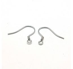 Stainless Steel Ear Wires