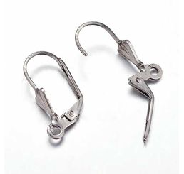 Stainless Steel Ear Wires