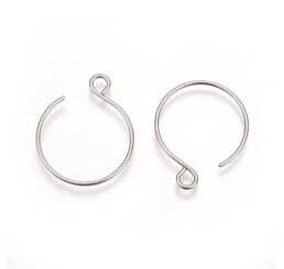 Stainless Steel Ear Wires