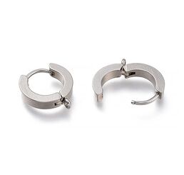 Stainless Steel Ear Wires