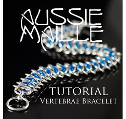 Vertebrae Tutorial