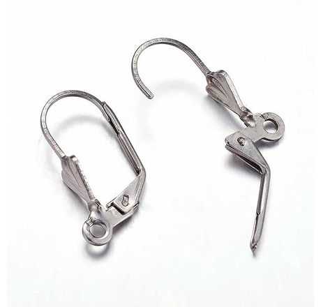 Stainless Steel Ear Wires