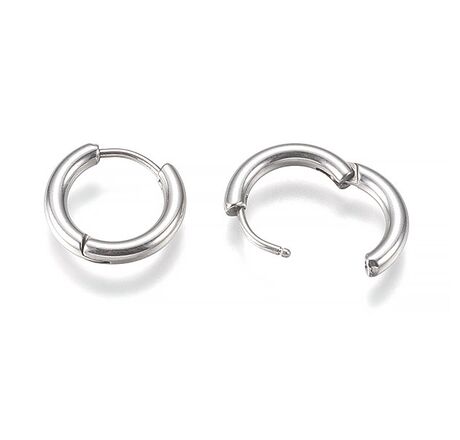 Stainless Steel Ear Wires