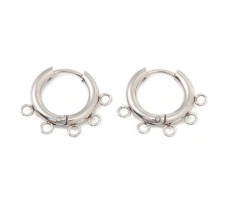 Stainless Steel Ear Wires
