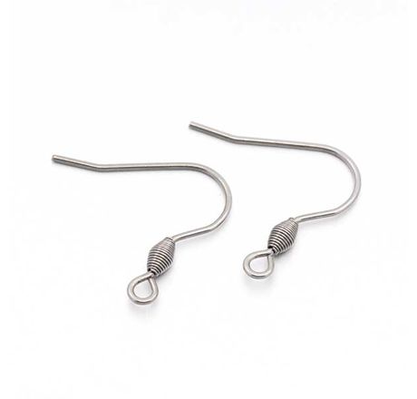 Stainless Steel Ear Wires