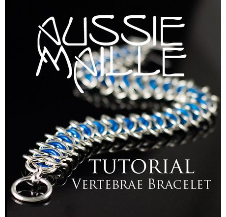 Vertebrae Tutorial