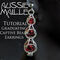 Graduated Captured Beads Earrings